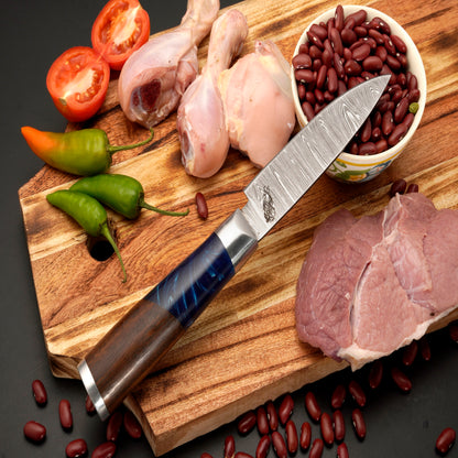 The Paria 6 Piece Damascus Chef Knife Set & Leather Roll