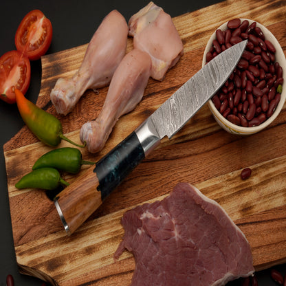 The Palla 6 Piece Damascus Chef Knife Set & Leather Roll